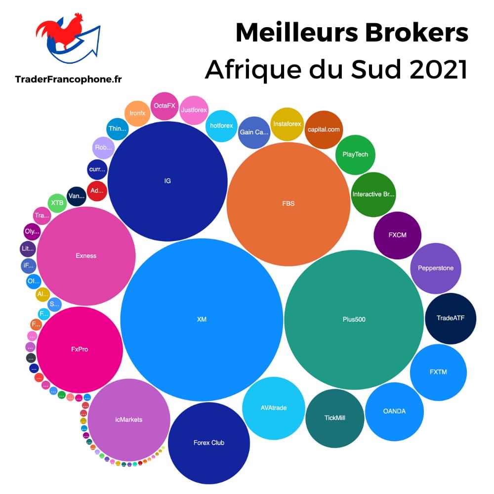 Meilleurs Brokers Afrique du Sud