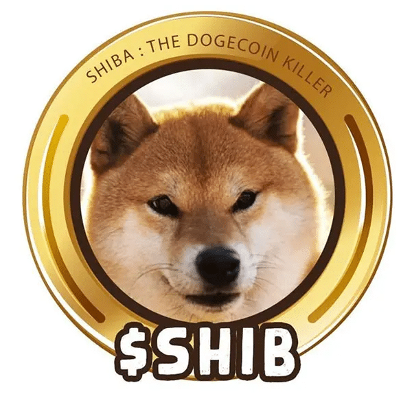 shiba Inu Cours