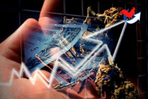 Investir dans le cannabis