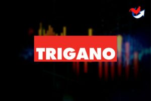 Acheter action trigano