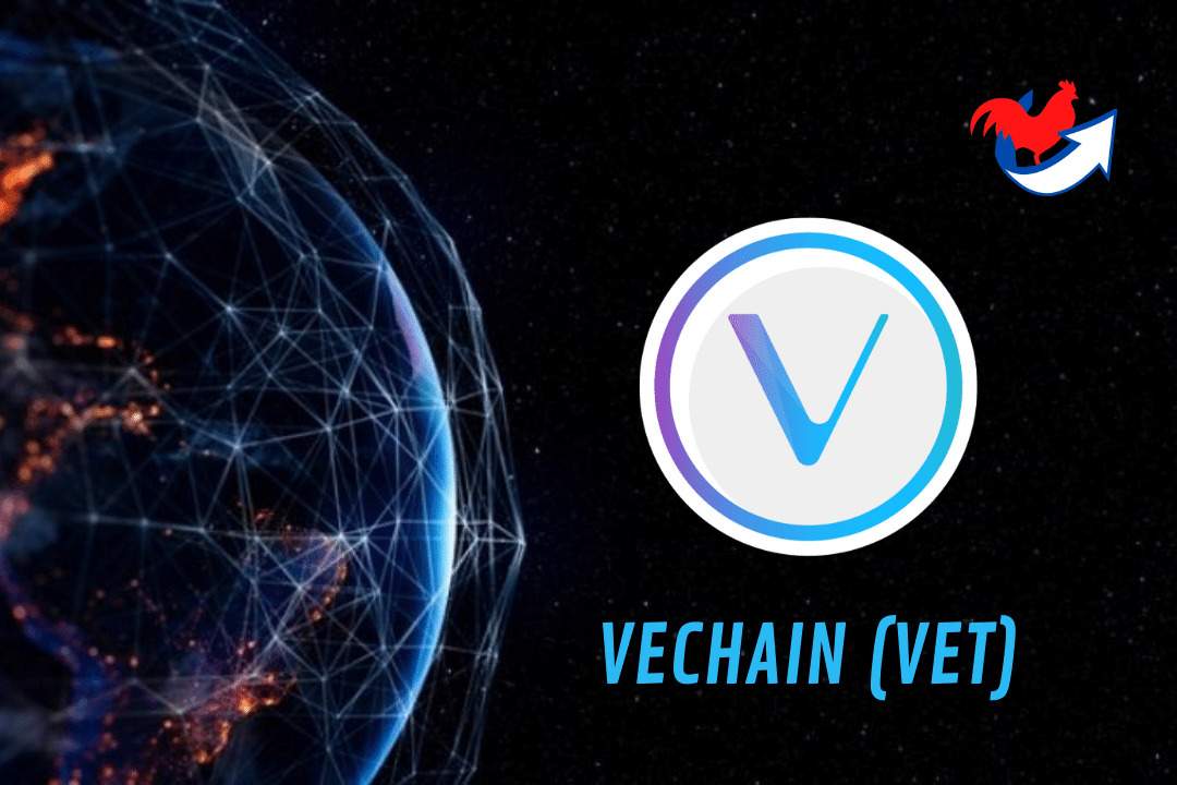 Avis Vet Crypto