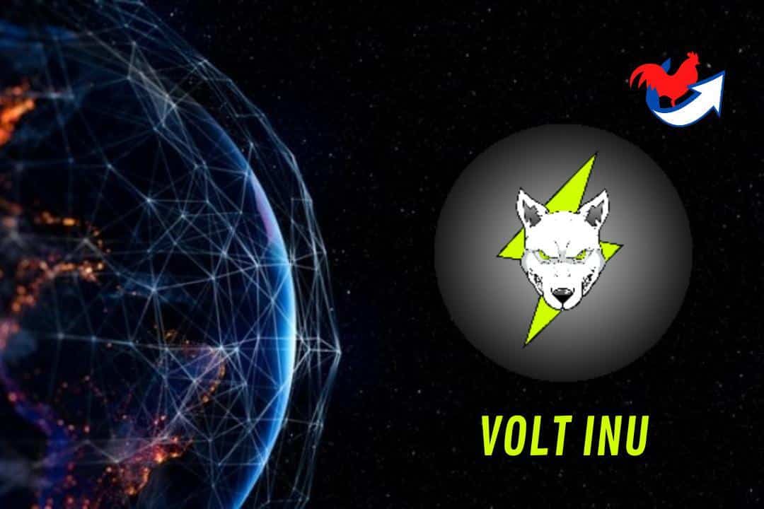 volt inu crypto avis